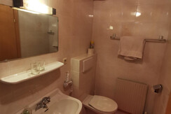 Alpbachblick_Alpbachtal_App3_Bad