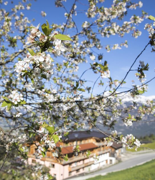 Sommeransicht (4) | © Fam. Kammerlander