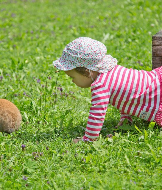 Streichezoo | © Fam. Kirchmair