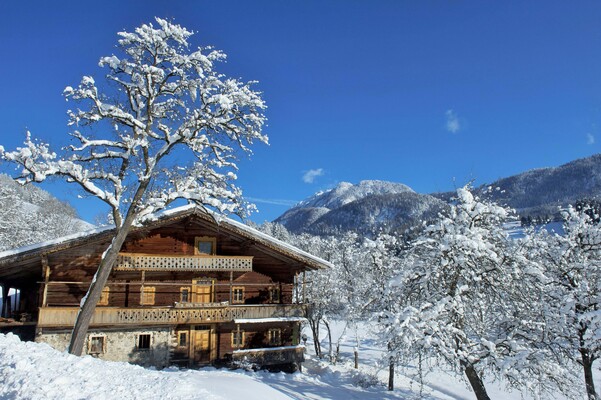 Zimmermoos Brixlegg (2)