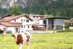 Apartment Tirol Hausansicht mit Kuh