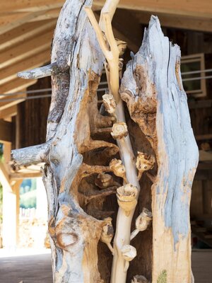 Rosenhof_Alpbach | © Photoegger