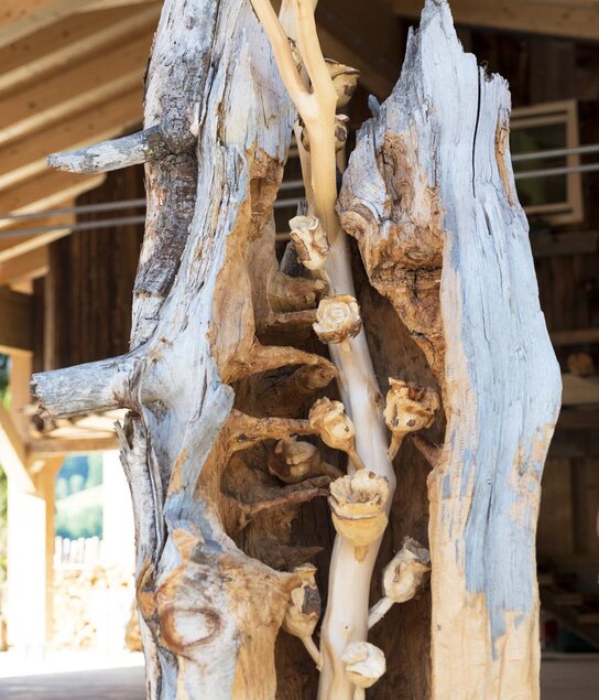 Rosenhof_Alpbach | © Photoegger