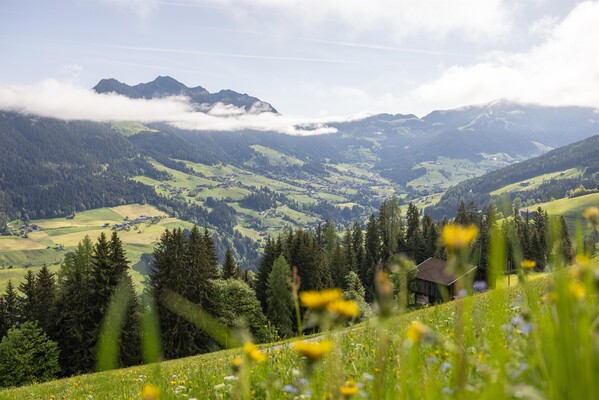 Alpbachtal_Sommer_2023-5