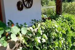 Aussicht Eingang zum Appartement