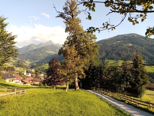 Gehweg ins Dorfzentrum - 10 Minuten
