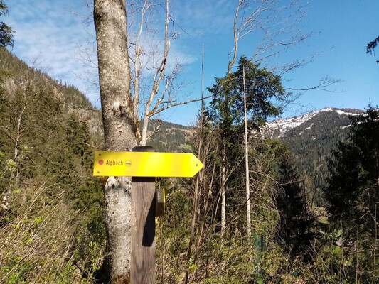 viele Wandermöglichkeiten direkt ab der Unterkunft
