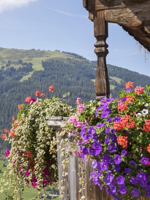 Blick aufs Wiedersbergerhorn | © Matthias Sedlak