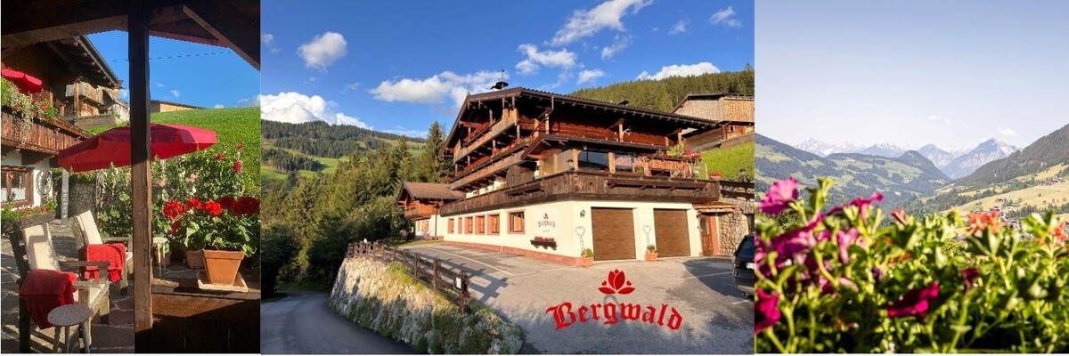 Bergwald Appartements Alpbach Sommer