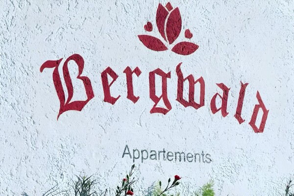 Sommer Deskline Bergwald