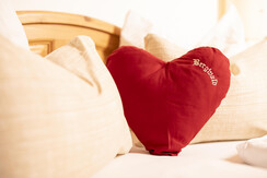 appartement_4_tyrol_2-5_personen_bergwald