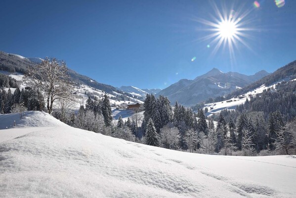 Blick auf Großen Galtenberg Winter Alpbach_Alpbach