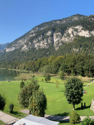 Liegewiese Camping&Appartements Seehof