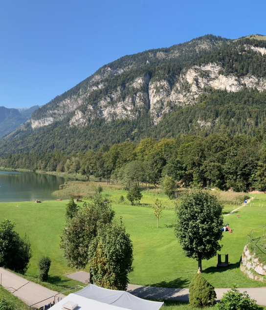 Liegewiese Camping&Appartements Seehof