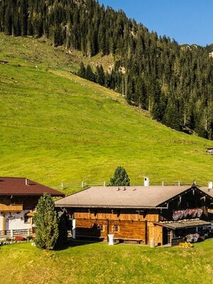 Bischoferalm Sommer | © Fam. Kostenzer