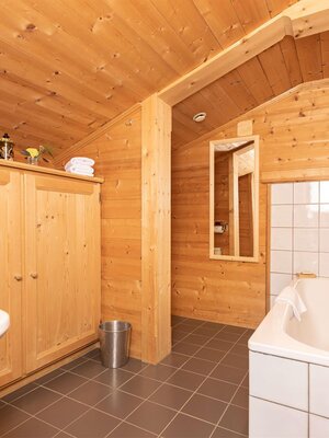 Apartment Alpbach Bath 2