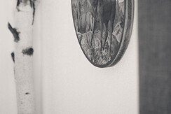 Indoor_Moods_Deer_Chalet-Matty