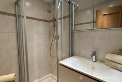 ChaletNina_alpbachtal_bad1