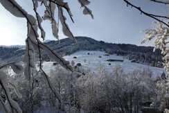 a view throught the window
