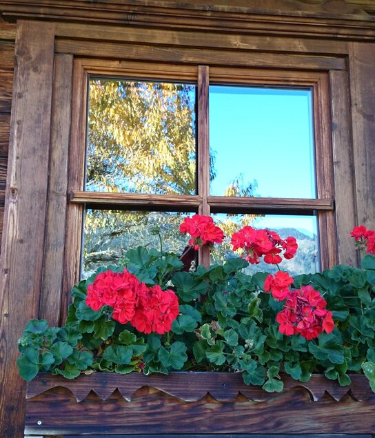 traditionell flower decoration in summer