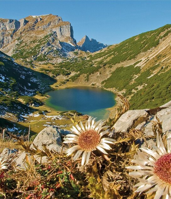 Zireiner See Herbststimmung_Alpbachtal Tourismus_F