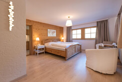 apartment deluxe living sleeping room