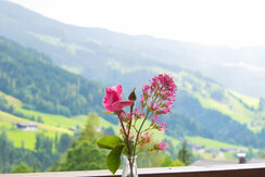 double room superior stunning view Alpbachtal