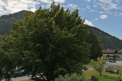 Josefine und ihr Kavalier_Ausblick_Alpbachtal