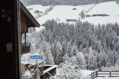 Bergliebe_Alpbachtal_Skibushalte