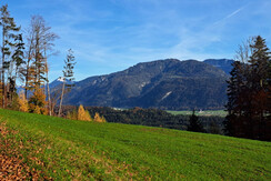 932b12b8-4927-4c41-8ad0-84b2476d3e1d