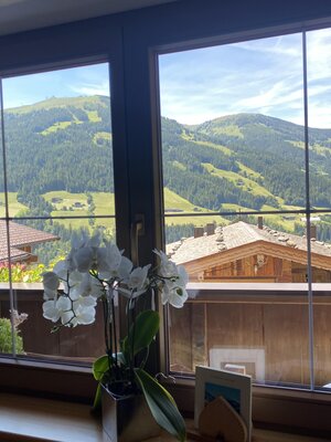 Ausblick aus Wohnküche, Ferienhaus