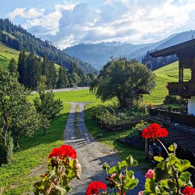 Lehenhof_Alpbach (2)