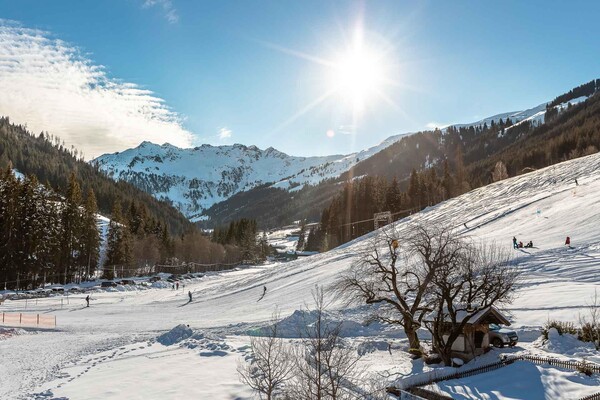 Ferienwohnungen Lehenhof_Alpbach_Inneralpbach_Skip