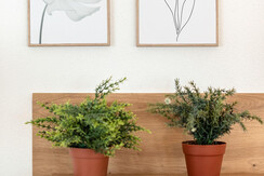 14_Ferienwohnungen Lehenhof_Alpbach_Inneralpbach_D