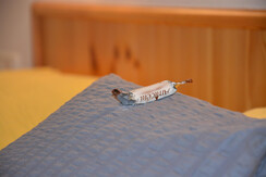 Doppelzimmer Haus Wöll (2)