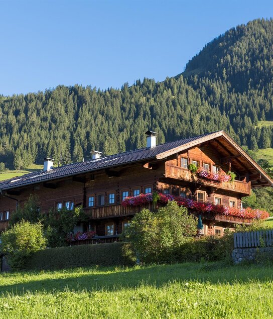 Fürstenhäusl Apartments & Studio | © Harald Lederer