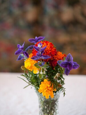 Blumengruß | © Michaela Seidl