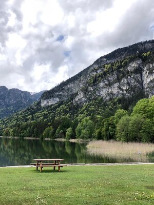 Haflingerhof - Blick auf den See | © Haflingerhof