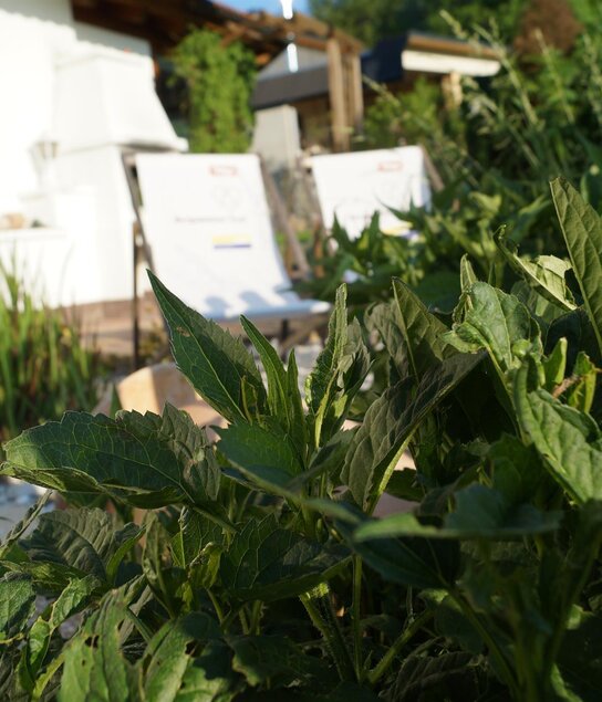 Ruhezone | © Oberlechner