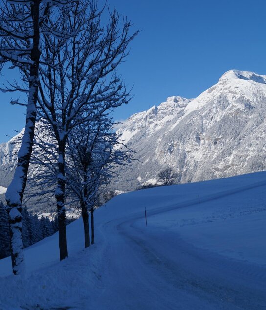 Spaziergang Winter | © Oberlechner