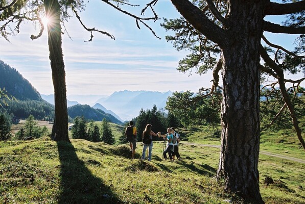 Holzalm wandern | © Alpbachtal Tourismus / Bernhard Berger