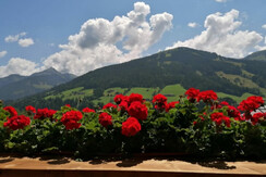 Balkonaussicht Sommer 2021