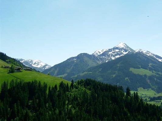 Blick Richtung Galtenberg | © Haus Unterfeld