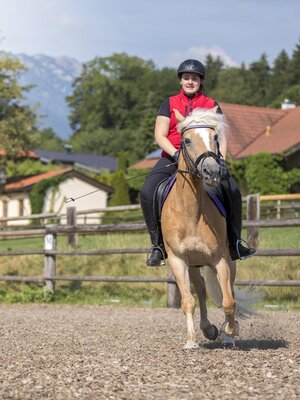 Haflinger Ausritt | © Hotel Hauserwirt Münster