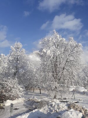 Winterlicher Park | © Karin Obermoser