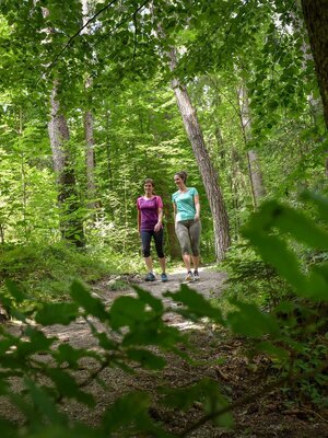 Wanderwege beim Jagdhof | © Alpbachtal Tourismus
