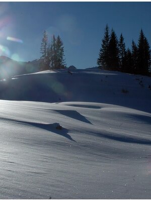 Schneelandschaft Brandenberg | © Hotel Neuwirt