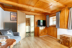 NSTE-Alpbach44-Alpbach-Kastl2-7