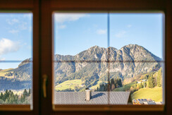 NSTE-Alpbach44-Alpbach-Kastl1-30