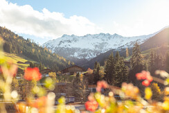 NSTE-Alpbach44-Alpbach-ext-32